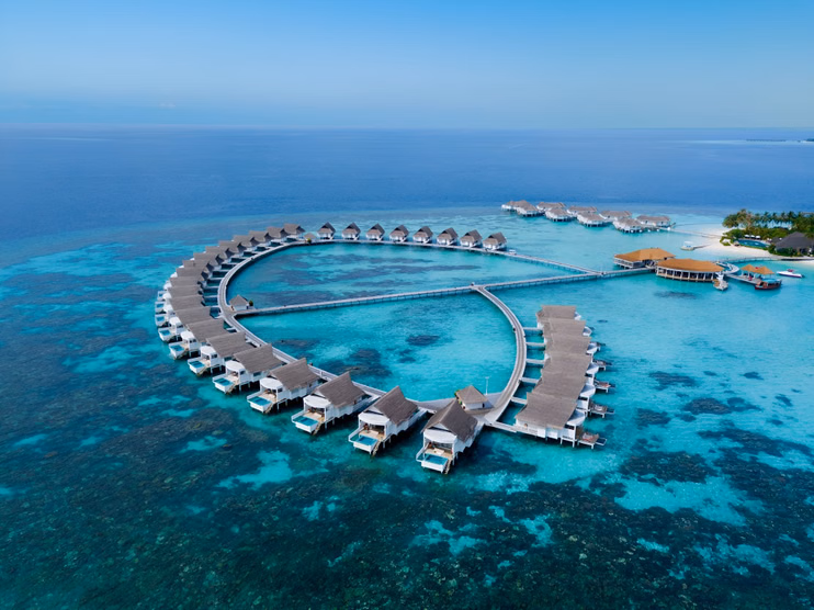 5drvfrt0f23mcya91jqrz17jhtrb_pixelcut-export (48).avif