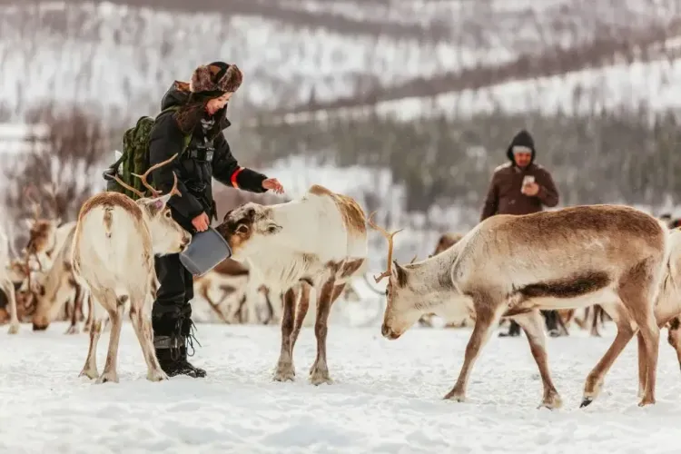 Best of Nordic | Exploring Sweden, Denmark, Finland and Norway