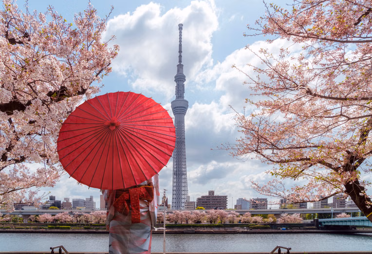 Best of Japan | Ancient Shrines to Futuristic Skylines